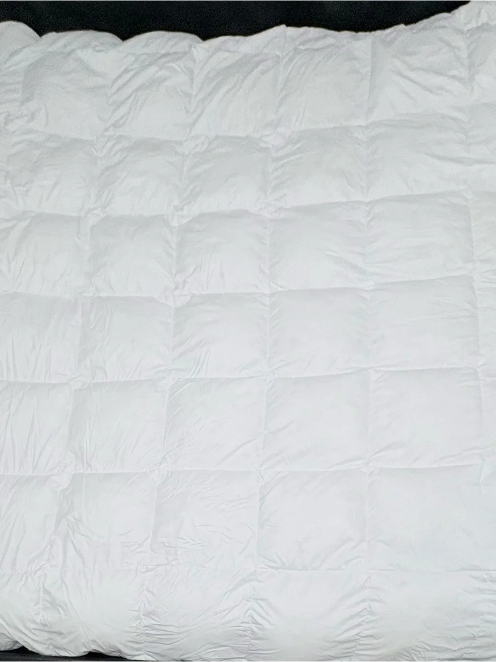 True North Queen Goose Down Feather Comforter Duvet Insert White